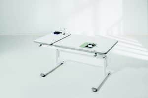 PAIDI study desk