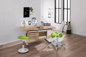 PAIDI study desk