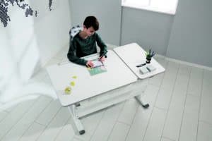 PAIDI study desk