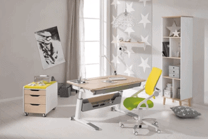 PAIDI study desk