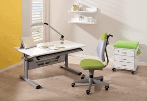 PAIDI study desk