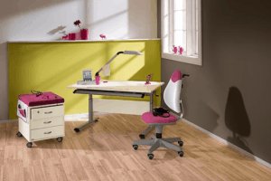 PAIDI study desk