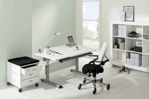 PAIDI study desk