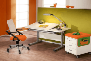 PAIDI study desk