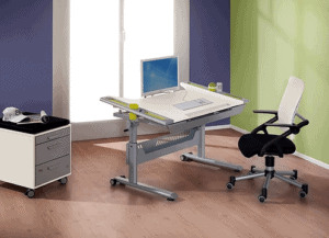 PAIDI study desk