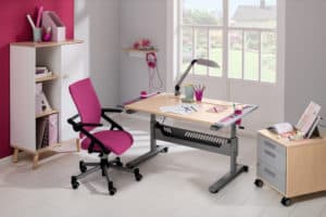 PAIDI study desk