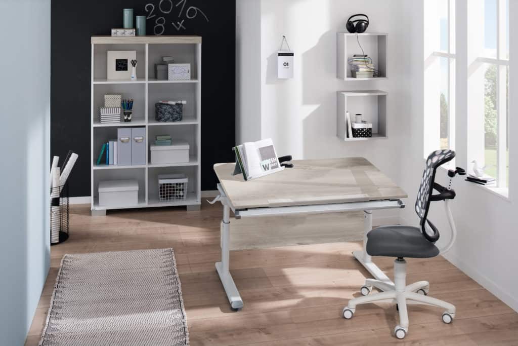 PAIDI study desk