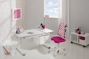 PAIDI study desk