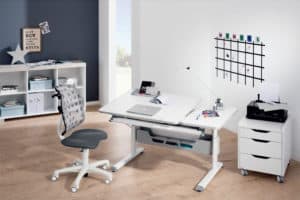 PAIDI study desk