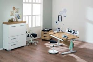 PAIDI study desk