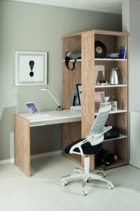 PAIDI shelves and desk