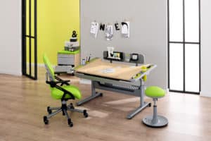 PAIDI study desk