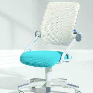 Shop page - Study chair