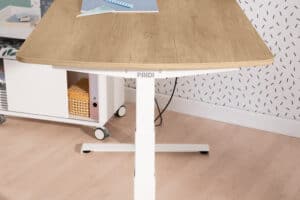 e-lion 1 (Desk)